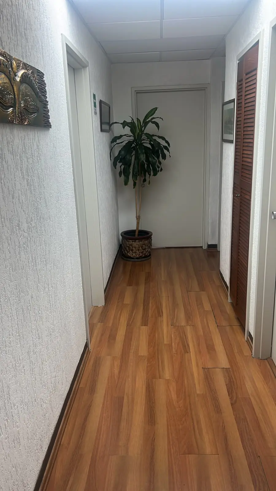 Pasillo con planta decorativa en el consultorio de la Dra. Mia Vázquez en el Pedregal
