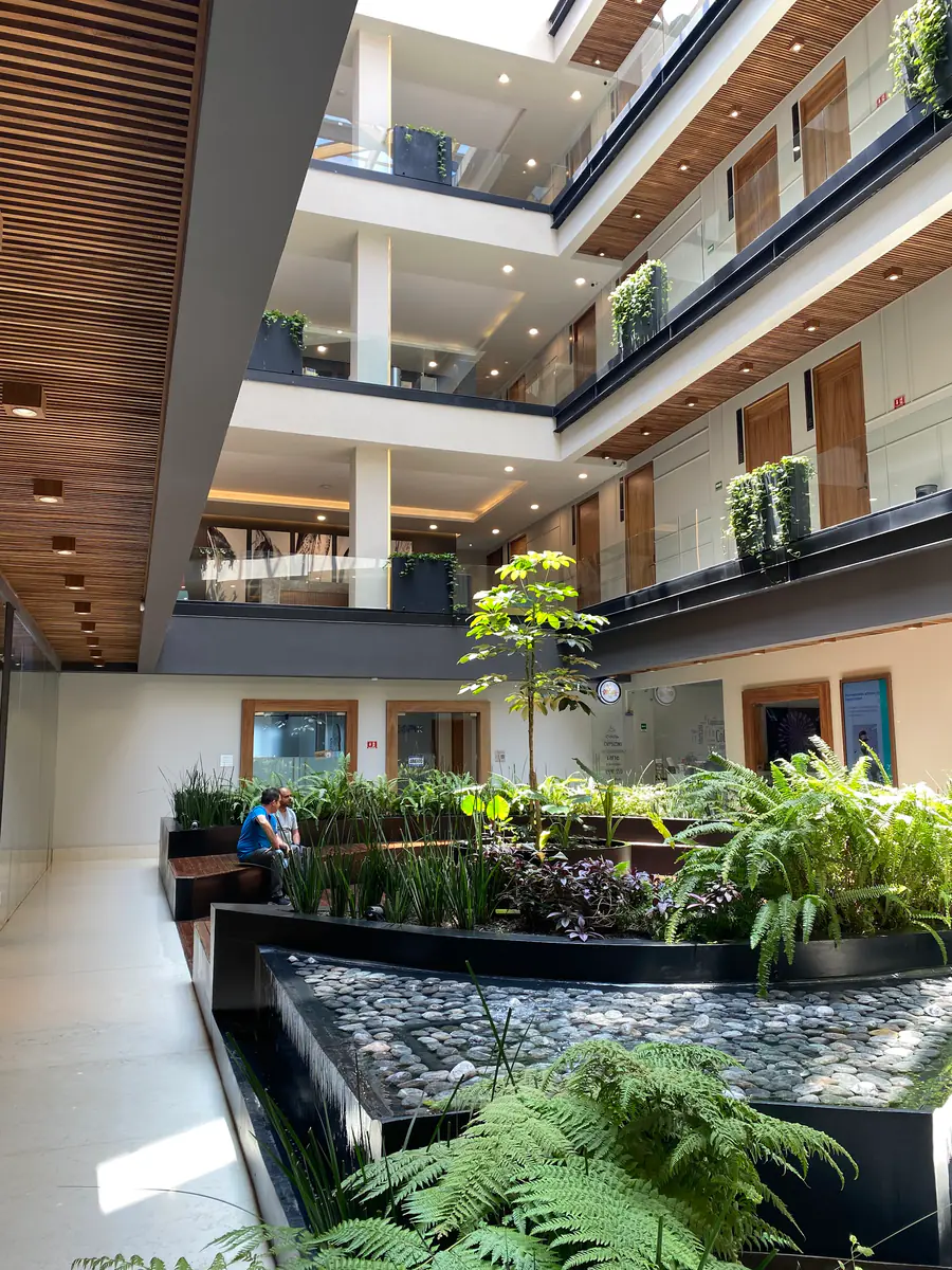 Jardín interior con plantas en la planta baja de la Torre Médica Tlalpan