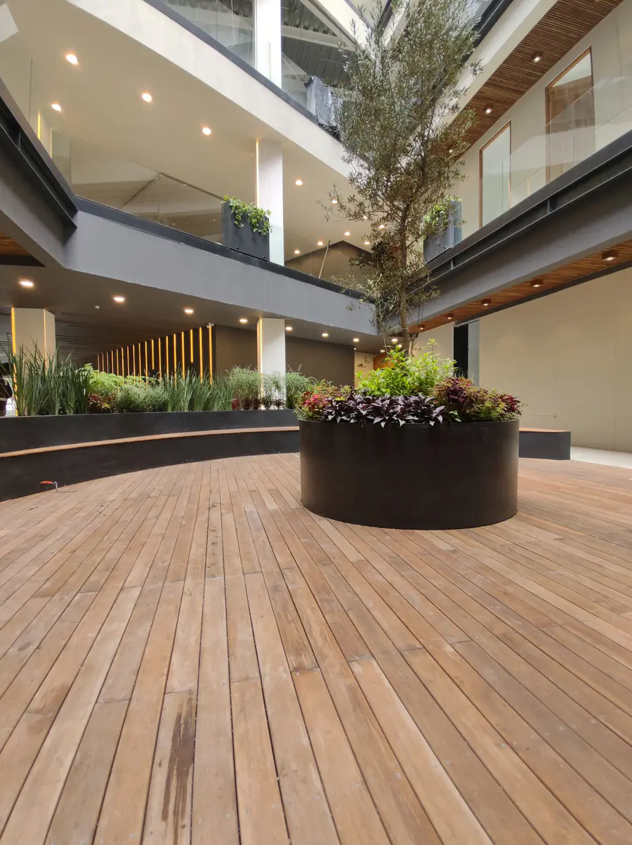 Terraza con piso de madera y jardinera central en la Torre Médica Tlalpan